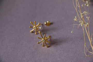 5 cz star ear studs